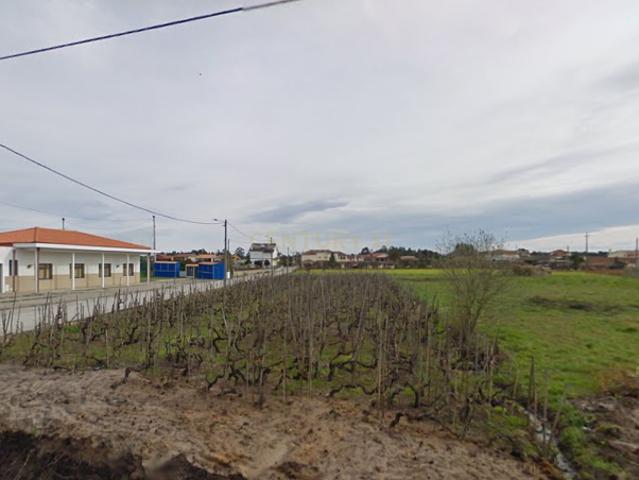 Terreno venda em Fonte de Angeão, Vagos