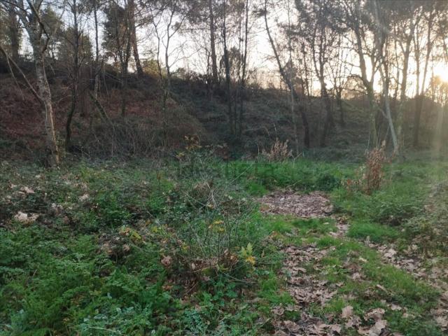 Terreno en venta en O Porriño, Vigo