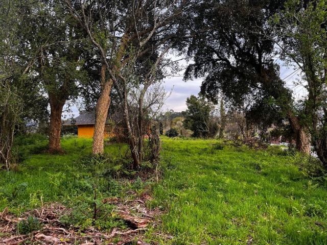 Terreno en venta en O Rosal, O Baixo Miño