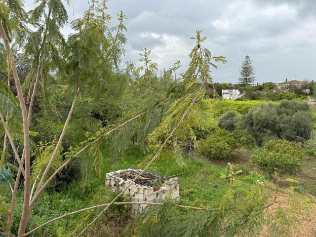 Terreno en venta en Alhaurín De La Torre, La Capellanía Terreno en venta en Alhaurín De La Torre, La Capellanía