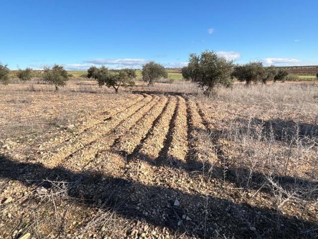 Terreno en venta en Colmenar De Oreja