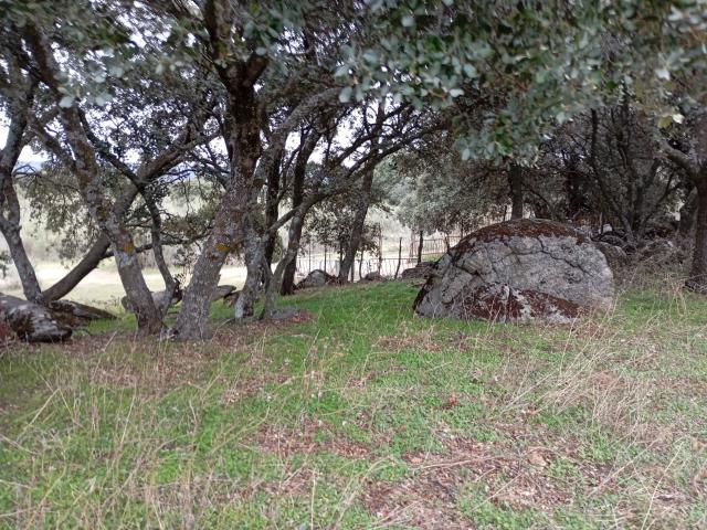 Terreno en venta en Colmenar Del Arroyo