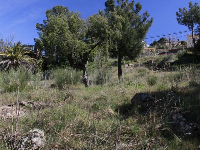 Terreno en venta en Fresnedillas De La Oliva