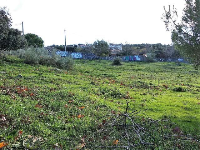 Terreno en venta en Fresnedillas De La Oliva