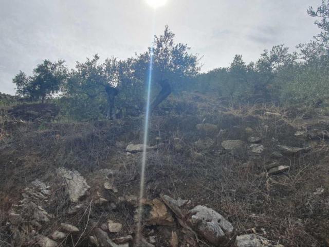Terreno en venta en Yunquera