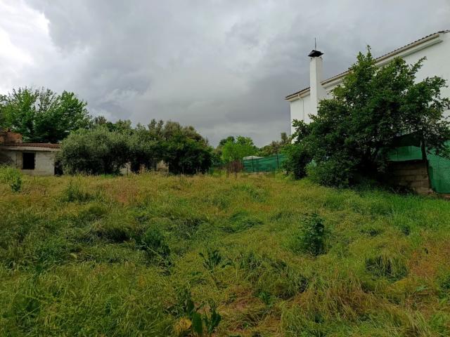 Terreno en venta en Comarca de la Vega de Granada, Andalucía