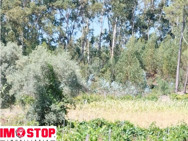 Terreno venda em Oliveira Do Bairro, Aveiro