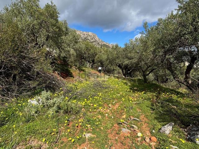 Terreno en venta en Sierra de las Nieves, Andalucía