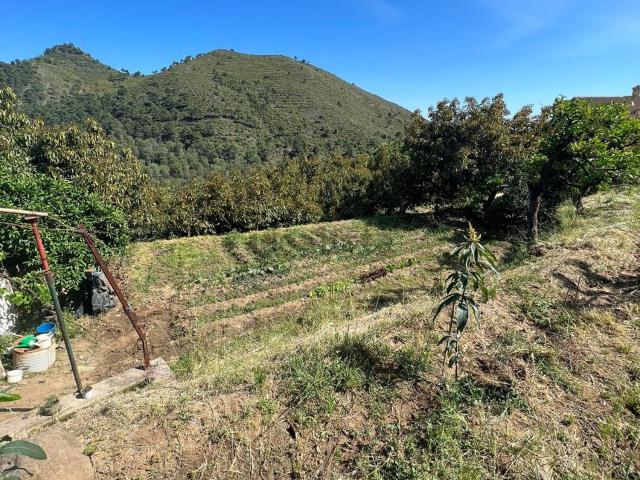 Terreno en venta en Sierra de las Nieves, Andalucía