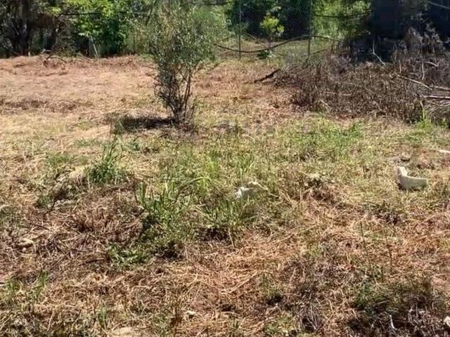 Terreno en venta en Ojén, Málaga