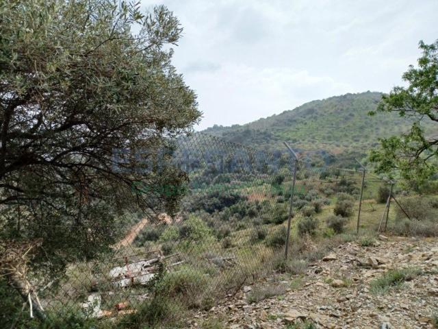 Terreno en venta en Este, Málaga-Costa del Sol