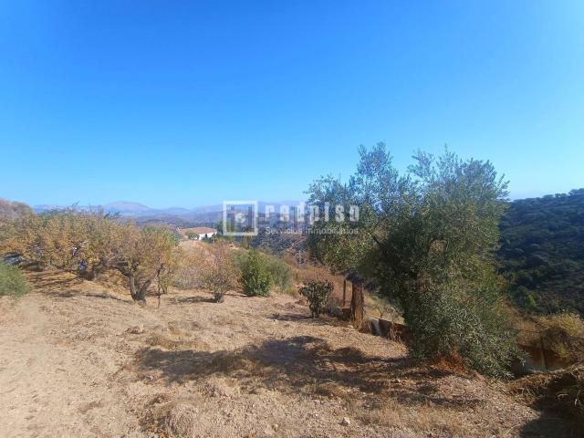 Terreno en venta en Este, Málaga-Costa del Sol