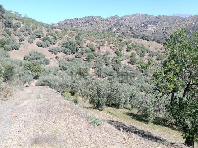 Terreno en venta en Este, Málaga-Costa del Sol