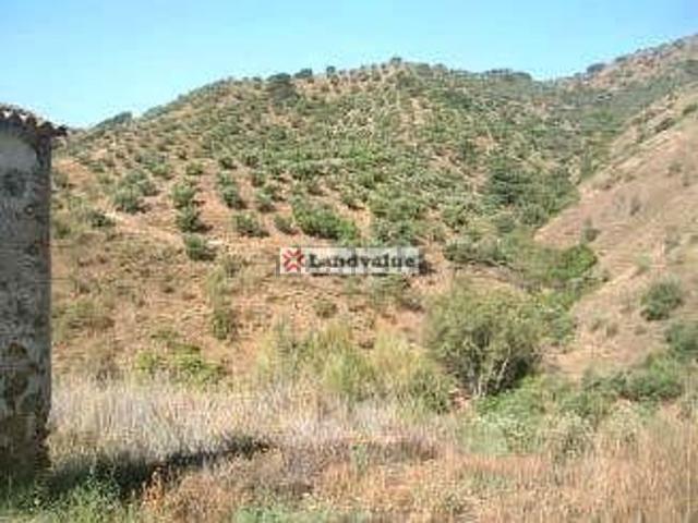 Terreno en venta en Este, Málaga-Costa del Sol