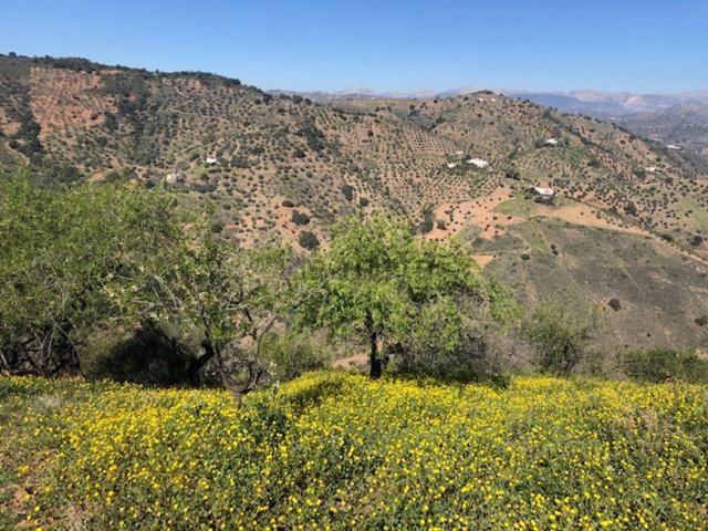 Terreno en venta en Este, Málaga-Costa del Sol