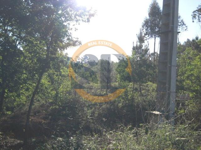 Terreno venda em Oliveira De Azeméis, Aveiro