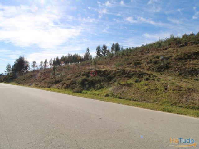 Terreno venda em Oliveira De Frades, Viseu