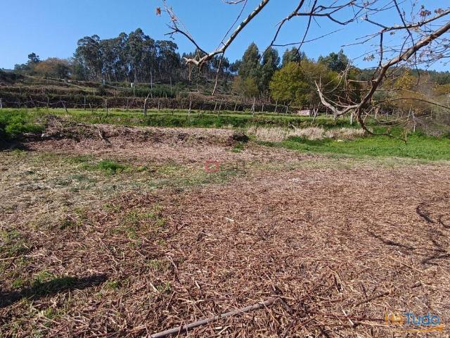Terreno venda em Oliveira De Frades, Viseu
