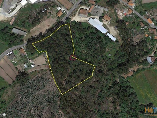 Terreno venda em Oliveira De Frades, Viseu