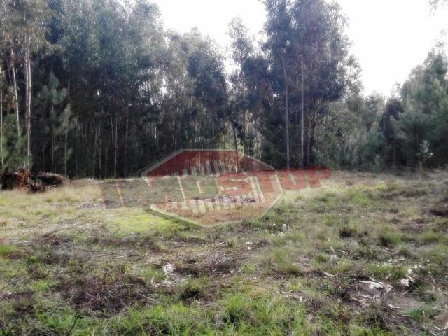Terreno venda em Oliveira Do Bairro, Aveiro