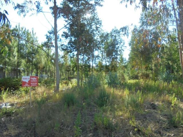 Terreno venda em Oliveira Do Bairro, Aveiro
