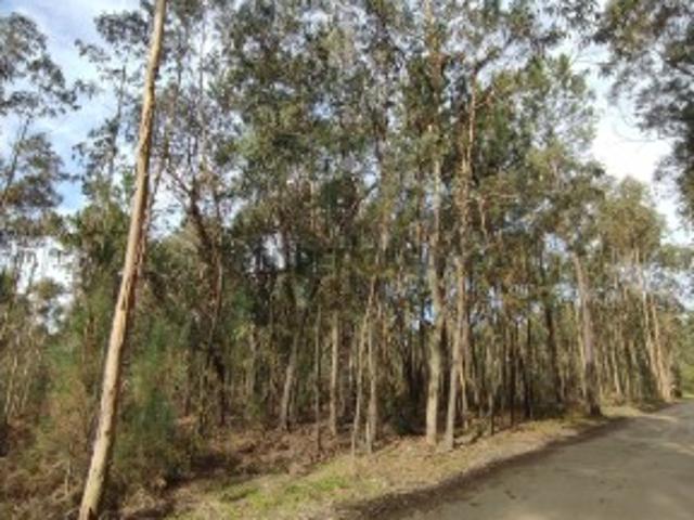 Terreno venda em Oliveira Do Bairro, Aveiro