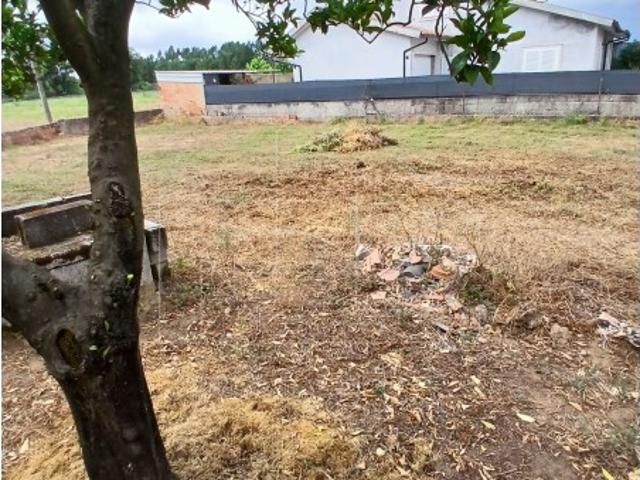 Terreno venda em Oliveira Do Bairro, Aveiro