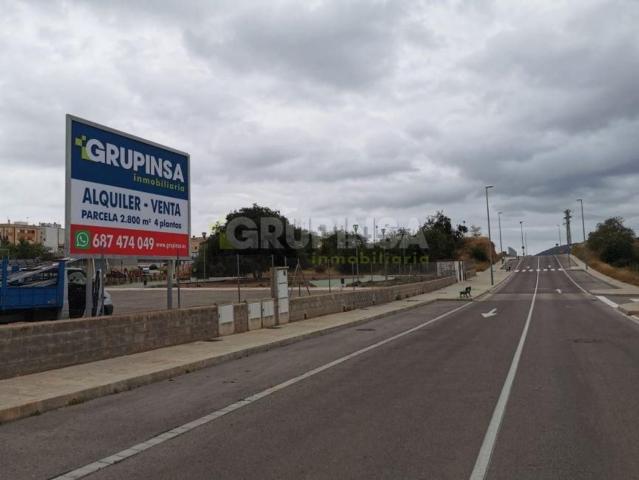 Terreno en alquiler en la Plana Baixa, Valencia