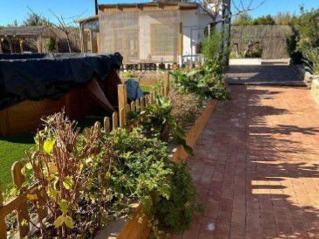 Terreno en venta en l'Apeadero de Betxí, la Plana Baixa