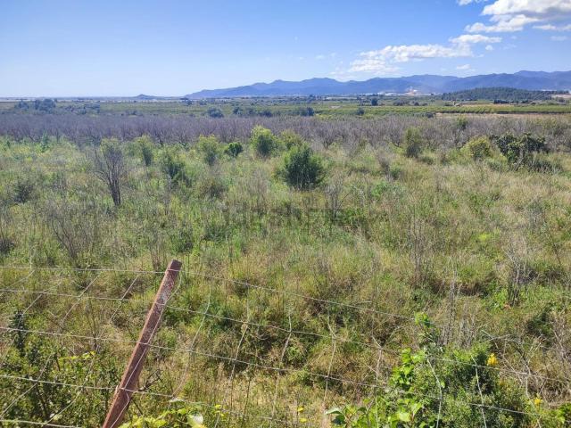 Terreno en venta en la Plana Baixa, Valencia