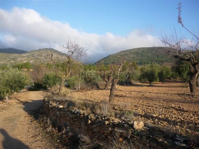 Terreno en venta en l'Alcoià, Valencia