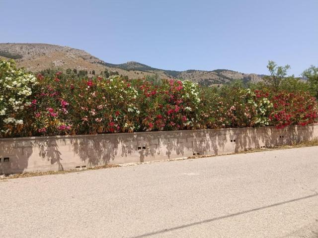 Terreno en venta en Polígono Industrial els Vasalos, Onil