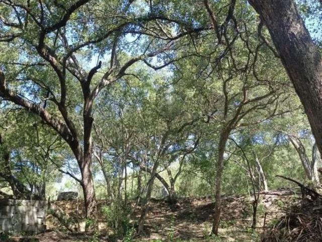Terreno en venta en Victoria, Tamaulipas