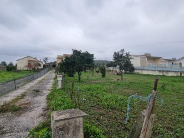Terreno venda em Soure, Coimbra