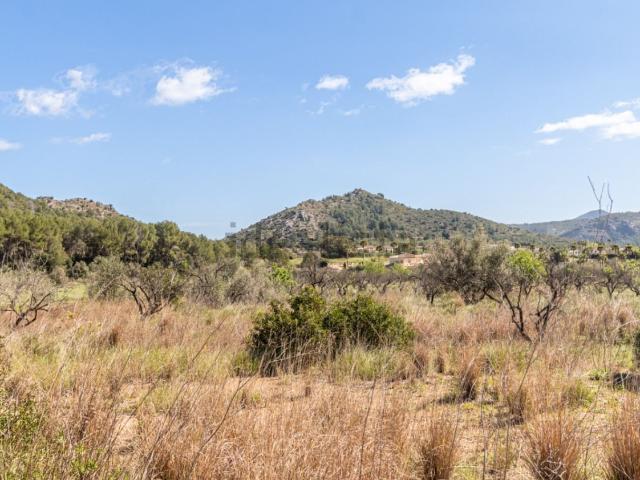 Terreno en venta en la Marina Alta, Valencia