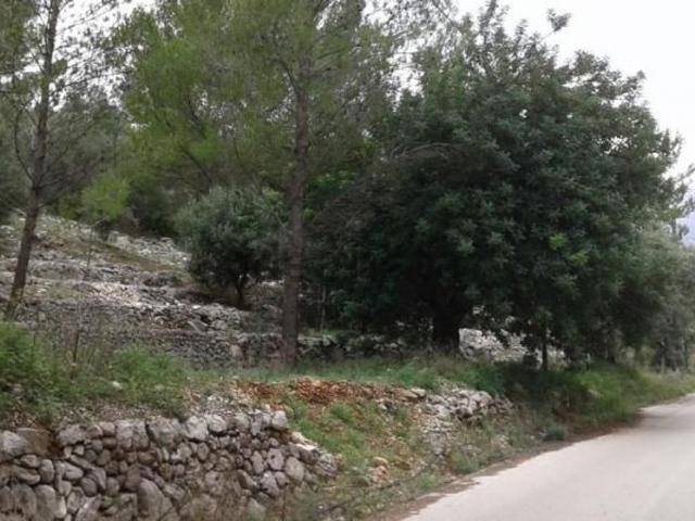 Terreno en venta en la Marina Alta, Valencia
