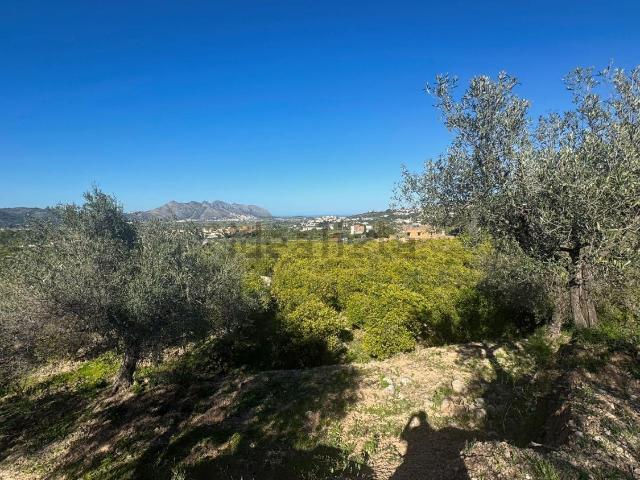 Terreno en venta en la Marina Alta, Valencia