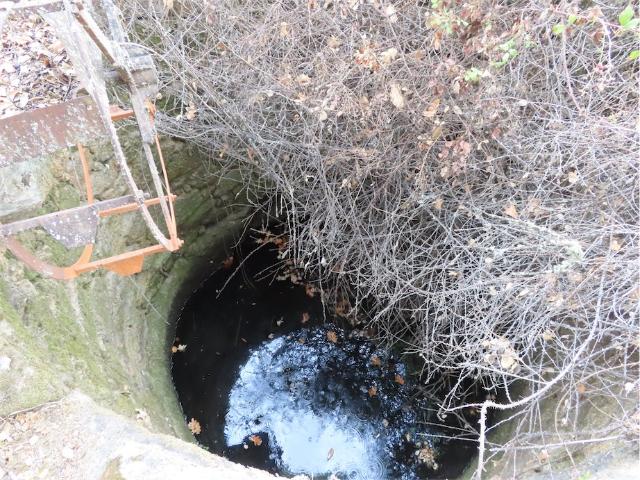 Quinta venda em Bairro do Barrocal, Castelo Branco