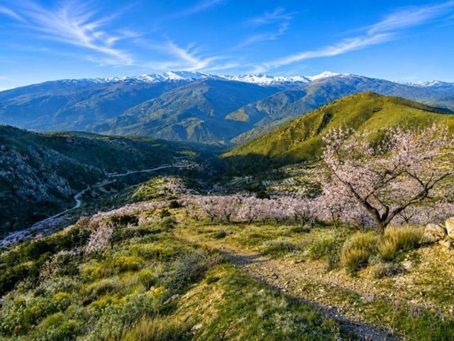 Terreno en venta en Comarca de la Alpujarra Granadina, Andalucía