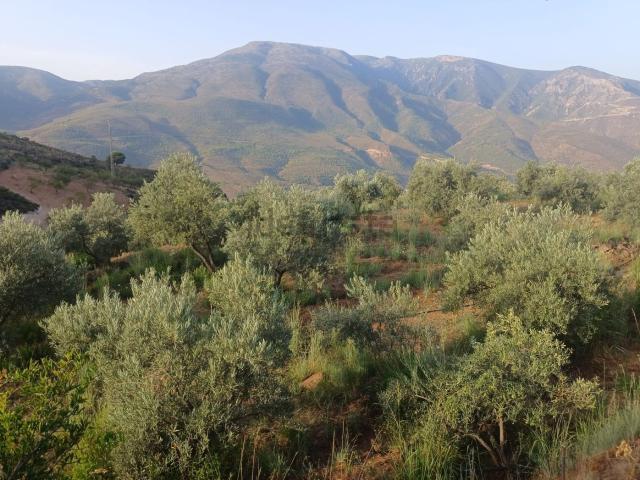 Terreno en venta en Comarca de la Alpujarra Granadina, Andalucía
