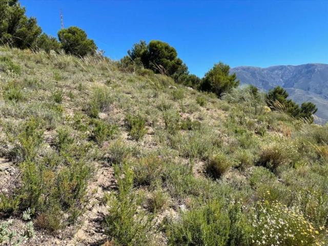 Terreno en venta en Cerro Negro, Comarca de la Alpujarra Granadina