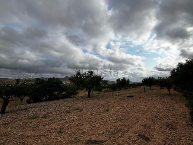 Terreno en venta en Barbarroja, el Baix Segura / La Vega Baja