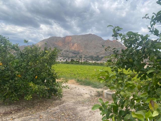 Terreno en venta en el Baix Segura / La Vega Baja, Valencia