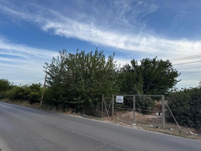 Terreno en venta en el Baix Segura / La Vega Baja, Valencia