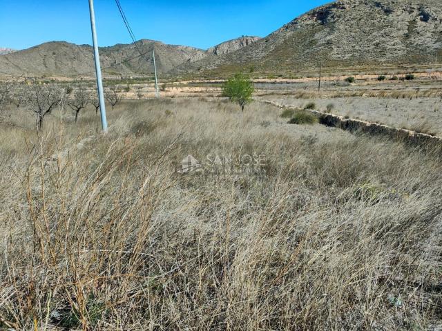 Terreno en venta en Barbarroja, el Baix Segura / La Vega Baja