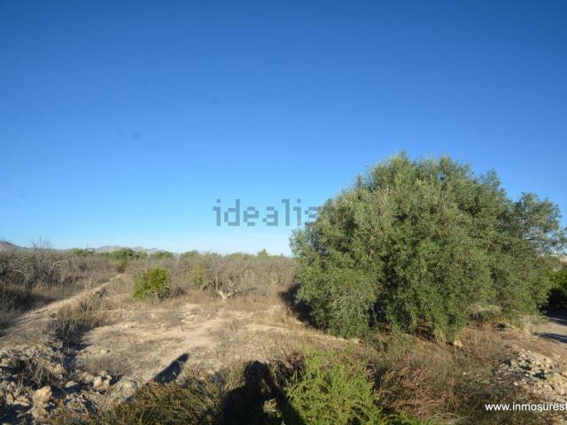 Terreno en venta en Orihuela, Alacant / Alicante
