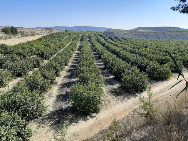 Terreno en venta en Casco Histórico, el Baix Segura / La Vega Baja