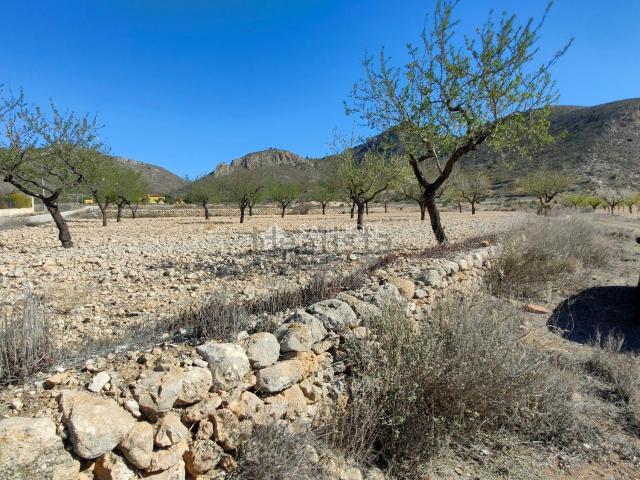 Terreno en venta en Barbarroja, Orihuela