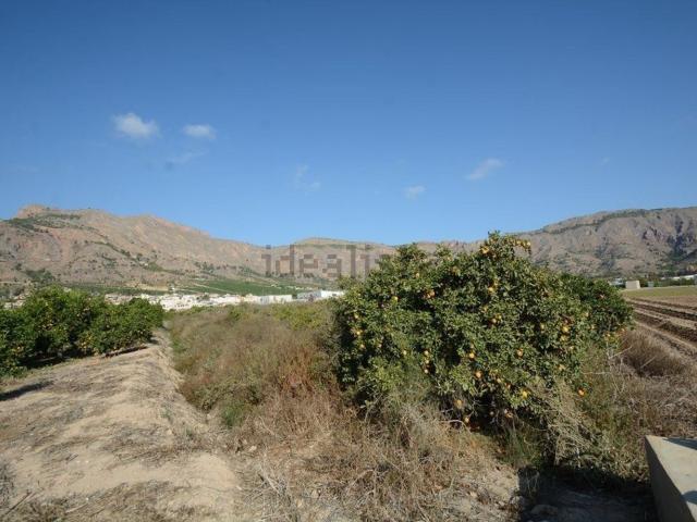 Terreno en venta en Raiguero de Bonanza, el Baix Segura / La Vega Baja