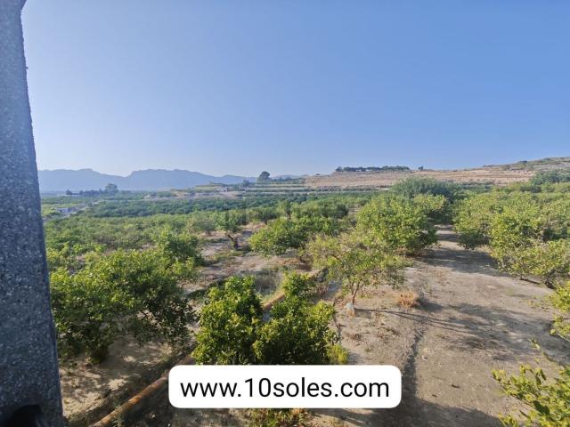 Terreno en venta en el Baix Segura / La Vega Baja, Valencia